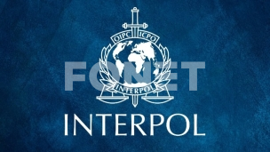 Bez Interpolove poternice